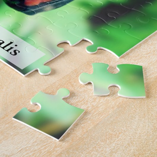 Puzzle Monarch Butterfly Chrysalis Before Hatching 110Pcs (Côté)