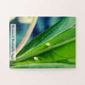 Puzzle Monarch Butterfly Eggs 30Pcs (Horizontal)