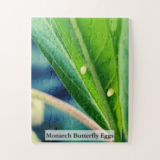 Puzzle Monarch Butterfly Eggs 30Pcs (Vertical)