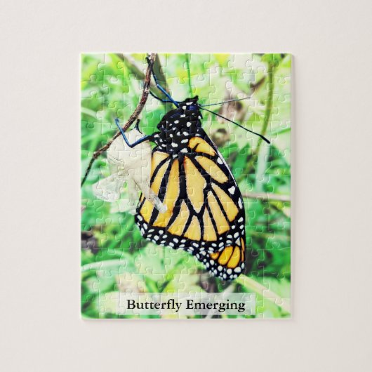 Puzzle Monarch Butterfly Emerging 110Pcs (Vertical)
