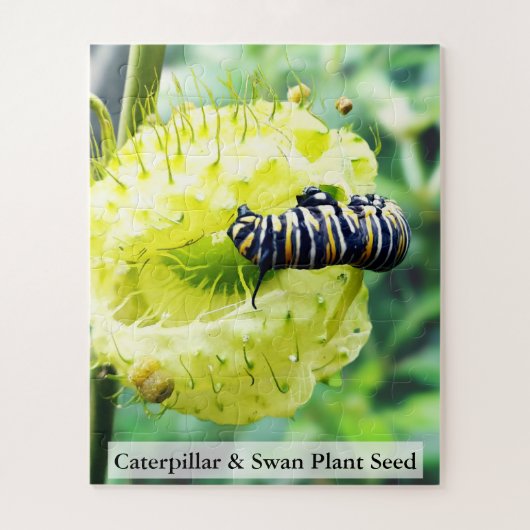 Puzzle Monarch Caterpillar & Swan Plant Seed 56 Pcs (Vertical)