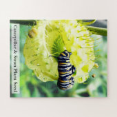 Puzzle Monarch Caterpillar & Swan Plant Seed 56 Pcs (Horizontal)