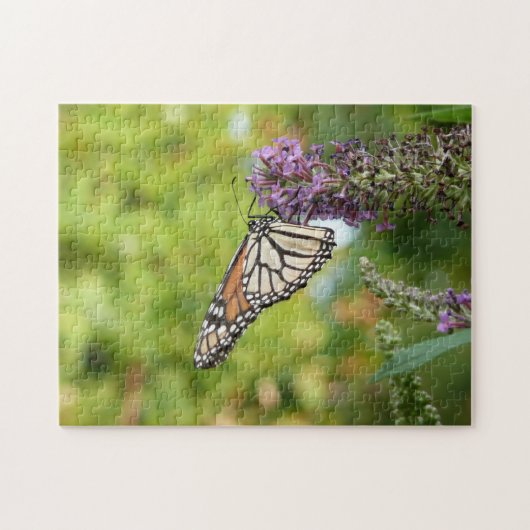 Puzzle Monarque papillon sur Buddleia pourpre (Horizontal)