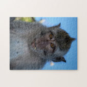 Puzzle Monkey (Horizontal)