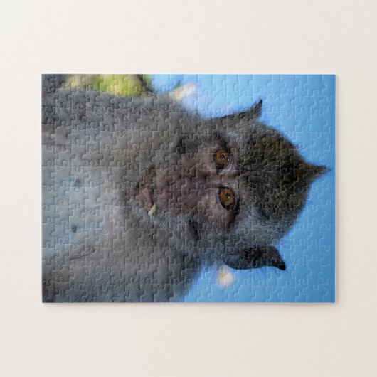 Puzzle Monkey (Horizontal)