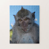 Puzzle Monkey (Vertical)