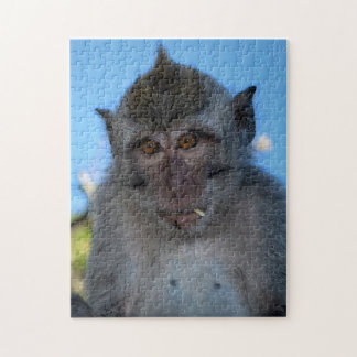Puzzle Monkey