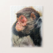 PUZZLE MONKEY (Vertical)