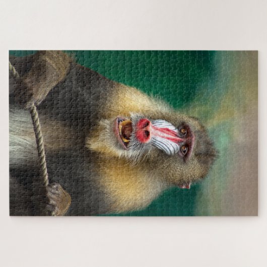 Puzzle Monkey (Horizontal)