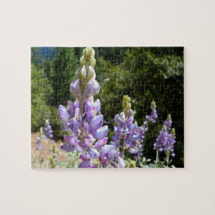 Puzzle Mont Lupins