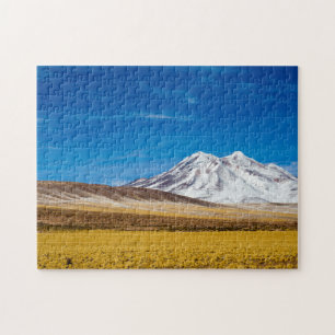 Puzzle Montagnes couronnées de neige et prairie de Puna