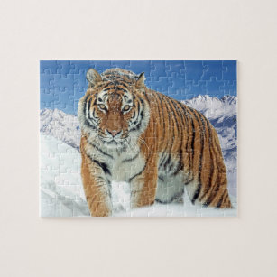 Puzzle Montagnes du tigre des neiges d'hiver Nature anima