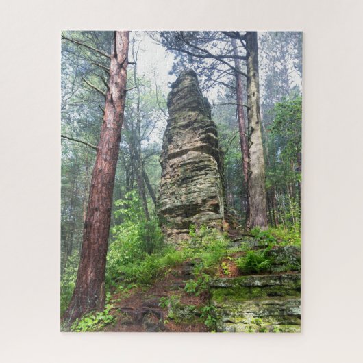 Puzzle Monticule castrée dans la forêt de l'État (Vertical)