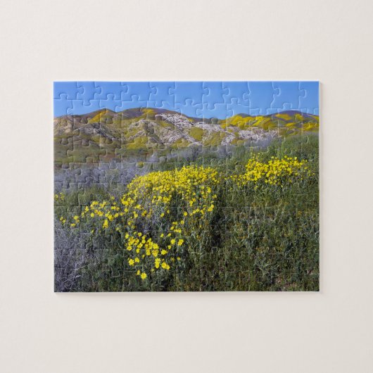 Puzzle Monument national de Carrizo Plain (Horizontal)