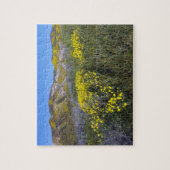Puzzle Monument national de Carrizo Plain (Vertical)