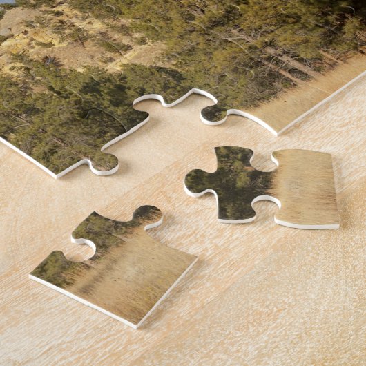 Puzzle Monument national de Devils (Côté)