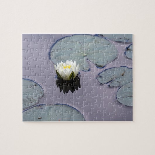 Puzzle Moody Water Lily (Horizontal)