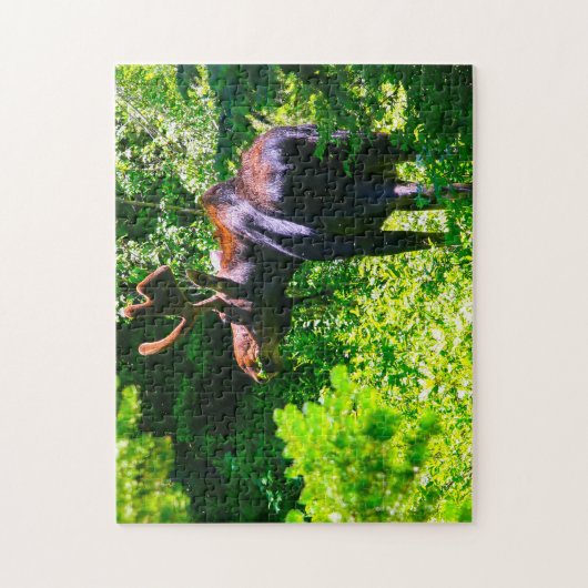Puzzle Moose à Grand Tetons. (Vertical)