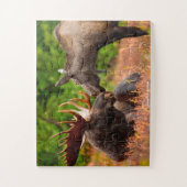 Puzzle Moose américaine (Vertical)