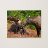 Puzzle Moose américaine (Horizontal)