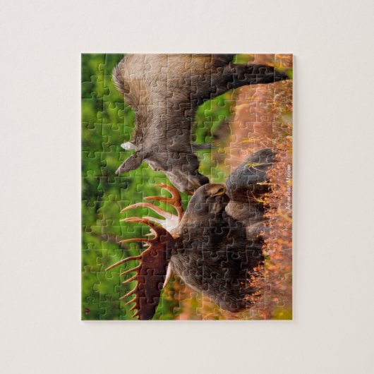 Puzzle Moose américaine (Vertical)