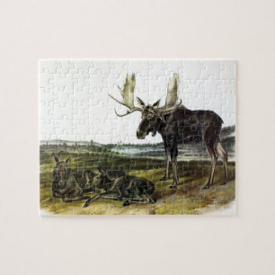 Puzzle Moose Deer (Moose - Alces alces) par Audubon