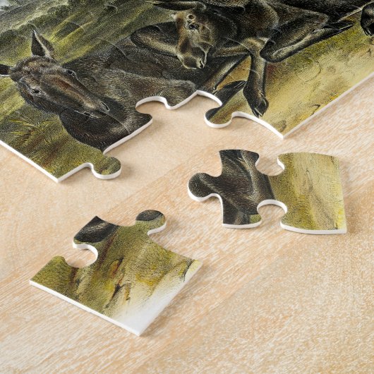 Puzzle Moose Deer (Moose - Alces alces) par Audubon (Côté)