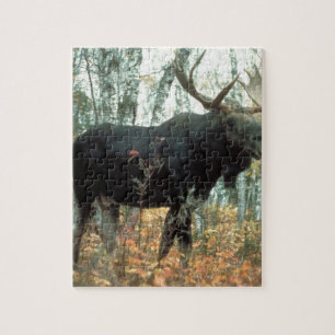Puzzle Moose Forest Trees Parc Animal Wildlife Art