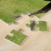 Puzzle Moose you: Alaskan moose (Côté)