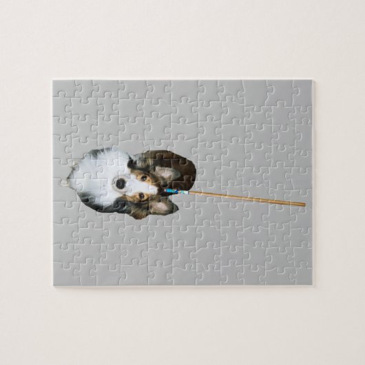 Puzzle Mop Dog (Horizontal)