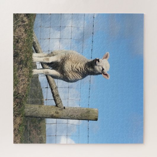 PUZZLE MOQUETTE (Horizontal)