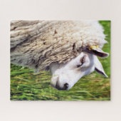 PUZZLE MOQUETTE (Horizontal)