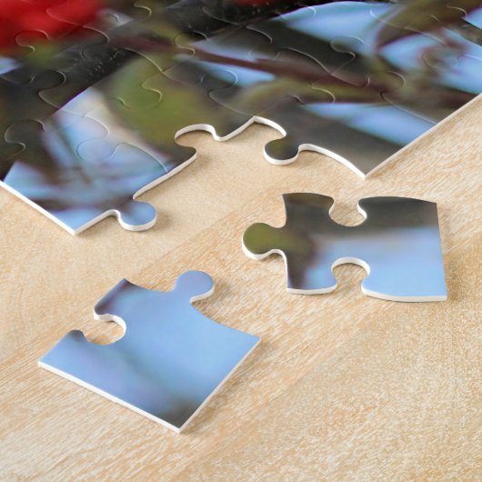 Puzzle Moqueur du nord (Côté)