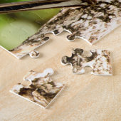 Puzzle Moqueur Floride. (Côté)