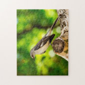Puzzle Moqueur Floride. (Vertical)