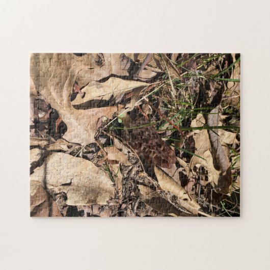Puzzle Morel (Horizontal)