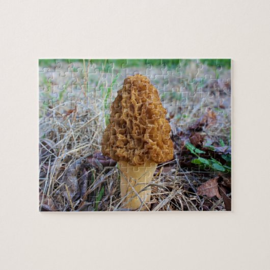 Puzzle MOREL MUSHROOM (Horizontal)