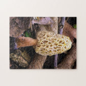 Puzzle Morille jaune (Horizontal)