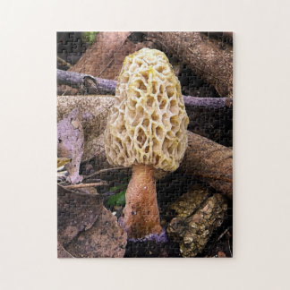 Puzzle Morille jaune