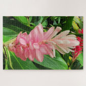 Puzzle Morning Calm: Pale Pink Ginger Flower Soft Petals (Horizontal)