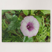 Puzzle Morning Calm: Soft Dew Dropped Pink Petals (Horizontal)