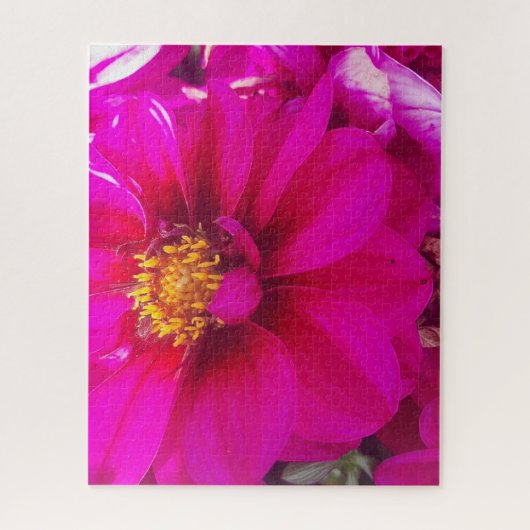 Puzzle Morning Calm: Soft Pink Daisy with Golden Center (Vertical)