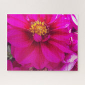 Puzzle Morning Calm: Soft Pink Daisy with Golden Center (Horizontal)