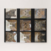 Puzzle Mosaïque de chat Kitty (Horizontal)