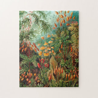 Puzzle Moss (Muscinae) par Haeckel