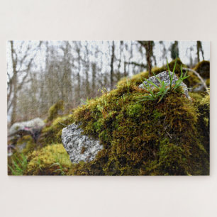 Puzzle Mosses