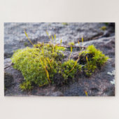 Puzzle Mosses (Horizontal)