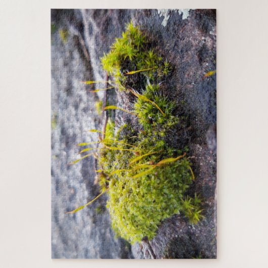 Puzzle Mosses (Vertical)