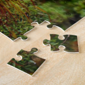 Puzzle Mosses (Côté)