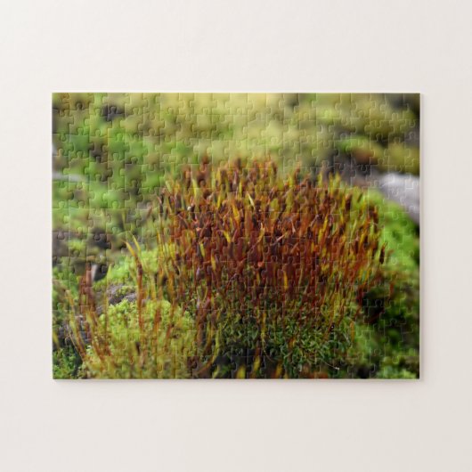 Puzzle Mosses (Horizontal)
